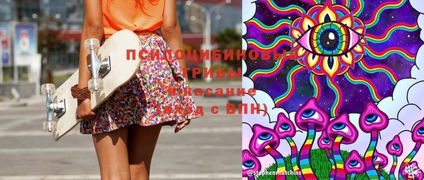 дживик Вязьма