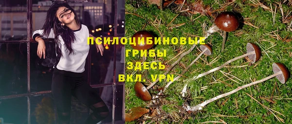 дживик Вязьма